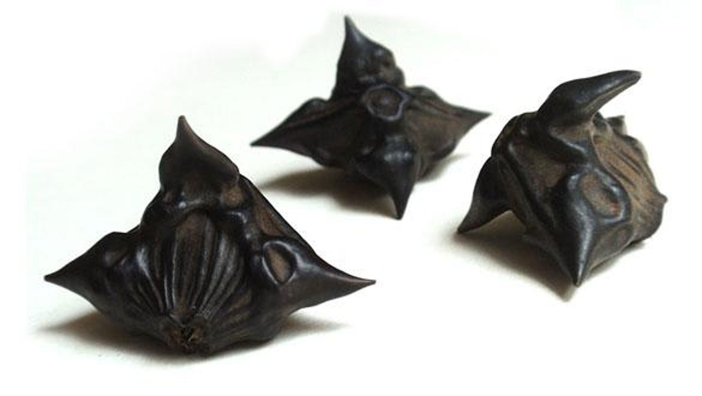 Bat Nuts \ Devil's Pods