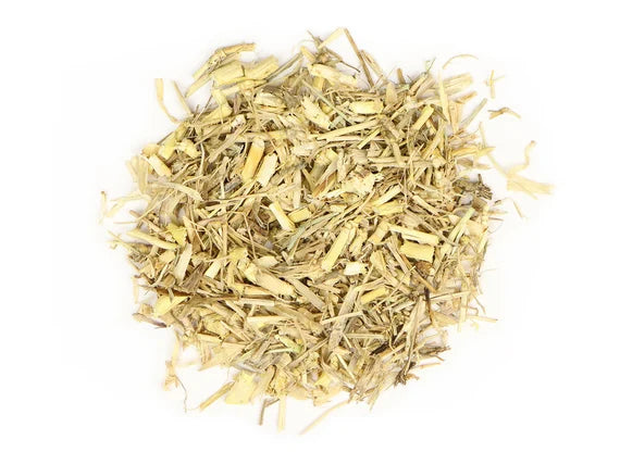 Dog Grass Root (Witch Grass)