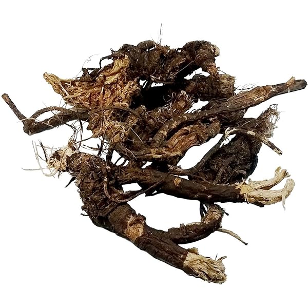 Osha Root (pre-packaged)