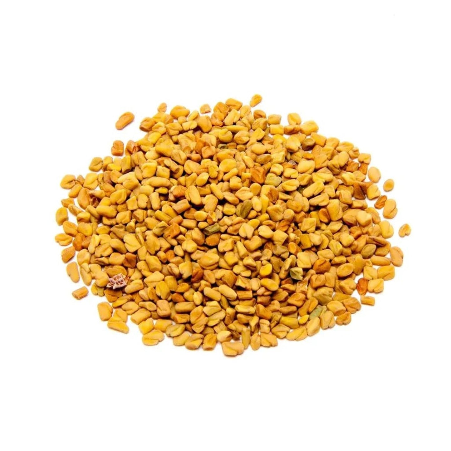 Fenugreek Seed