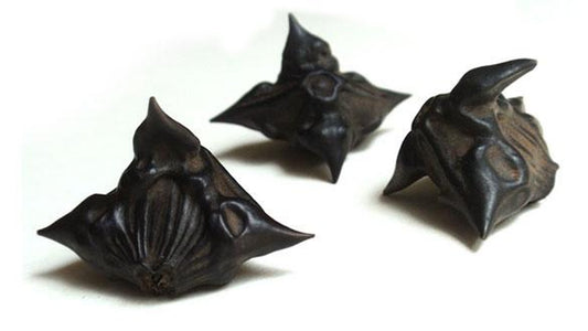 Bat Nuts \ Devil's Pods