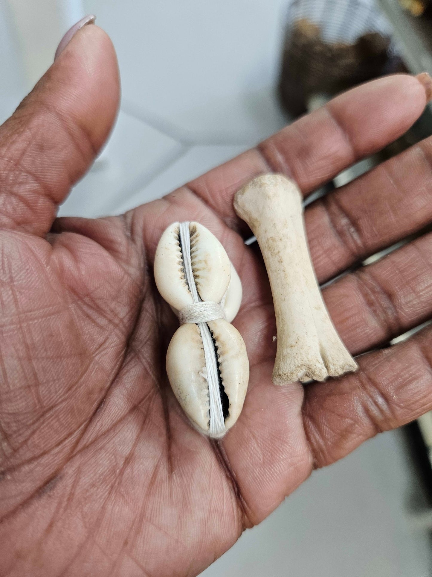 Ibo (Divination Set)