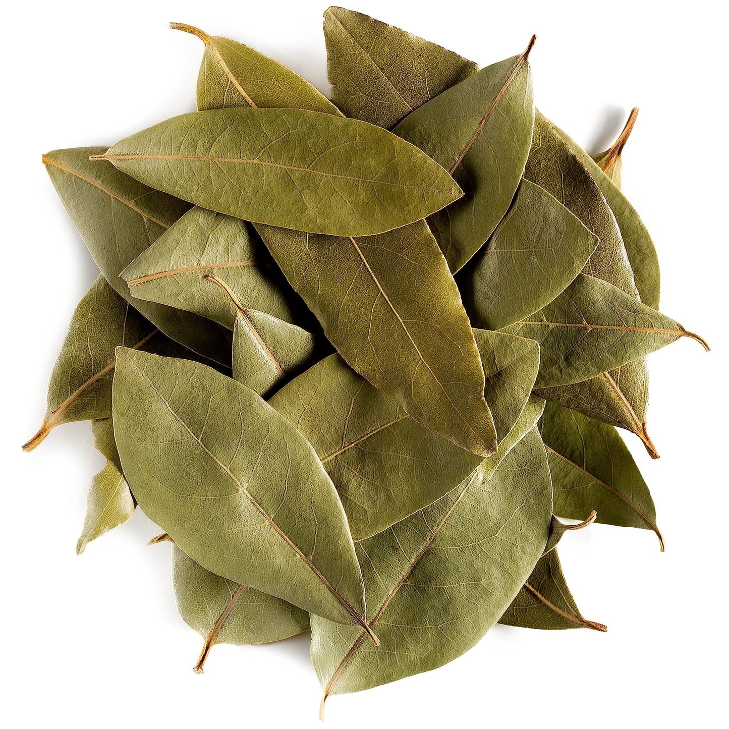 Bay Leaf (whole & cut leaf)
