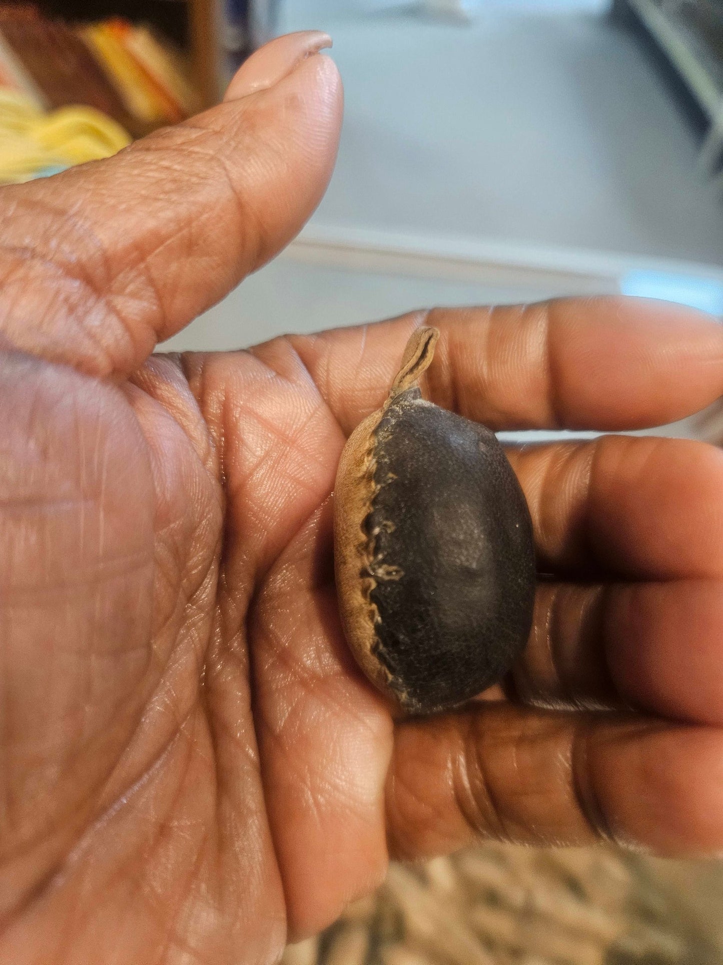 Owo Protection Talisman