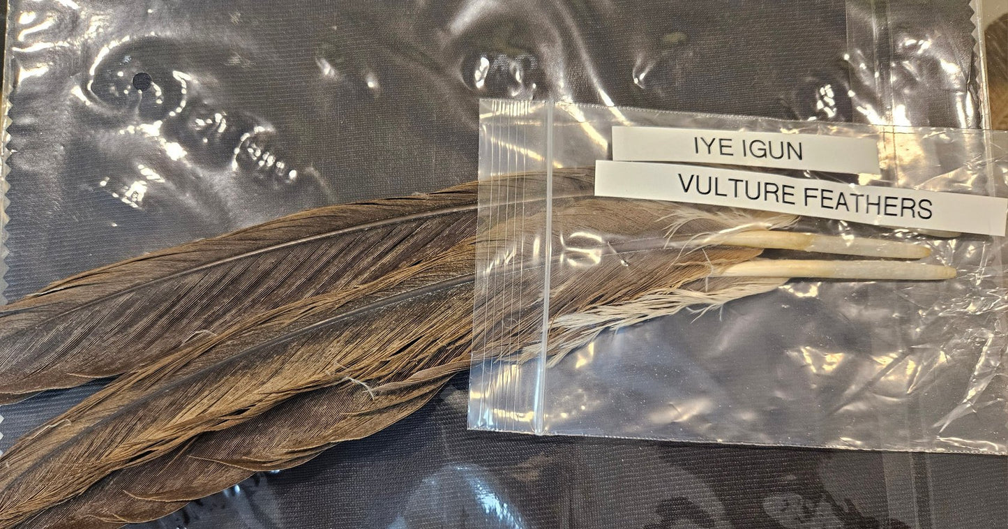 Iye (Feather)